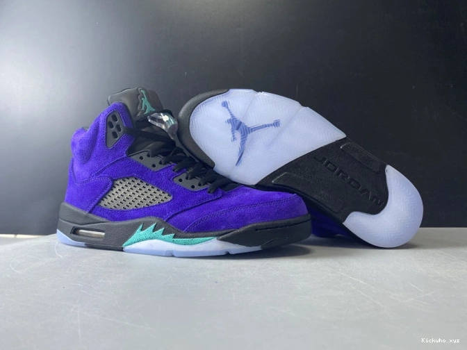 Alternate 5 Jordan Air Grape Retro 136027-500 0718